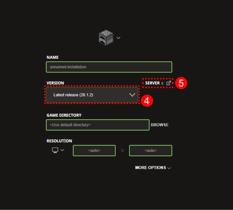 Select your version from the dropdown and the click the server text