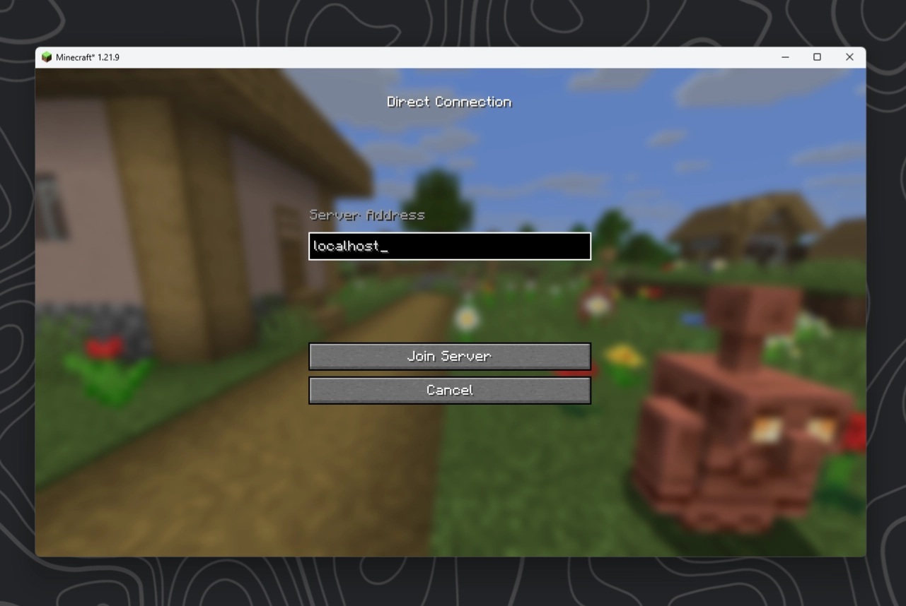 Go to Multiplayer and connect to localhost