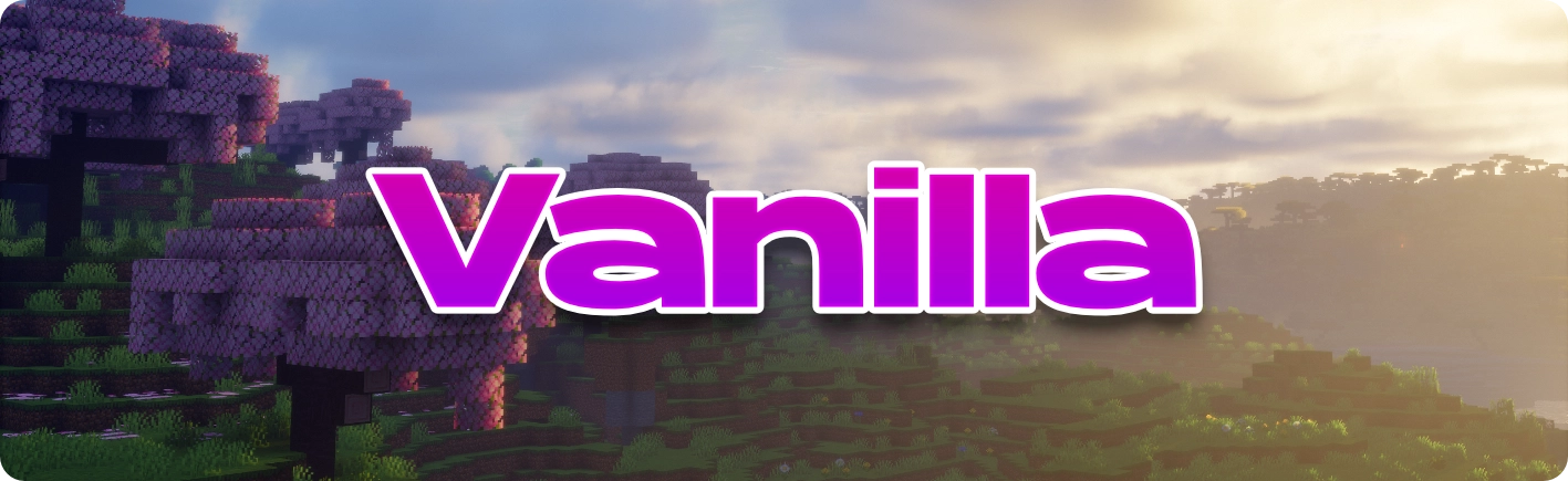 Vanilla Server Banner